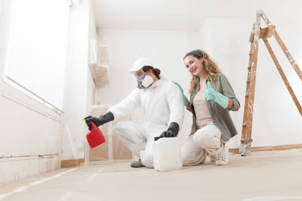 Best Attic Mold Removal  in Fort Polk North, LA